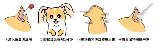 狗狗耳螨治疗步骤