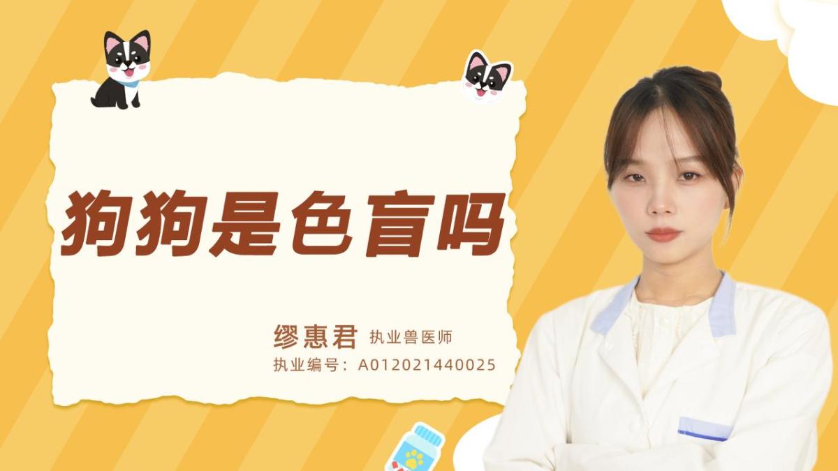 狗狗是色盲吗？