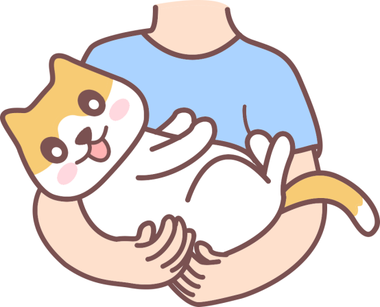 猫咪感冒