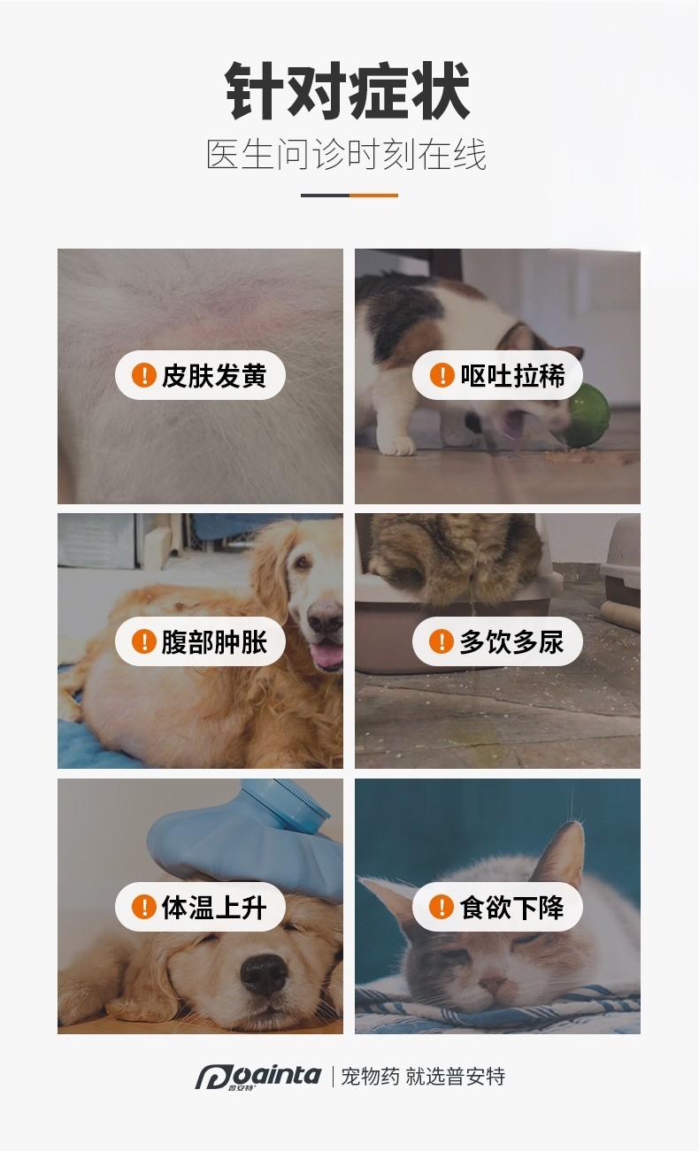 犬猫腹部肿胀、食欲下降