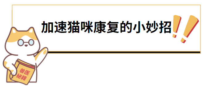 猫癣多久能好？