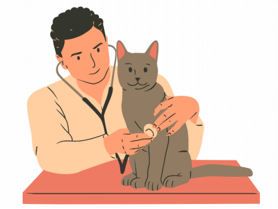 猫咪感冒打喷嚏吃什么药？