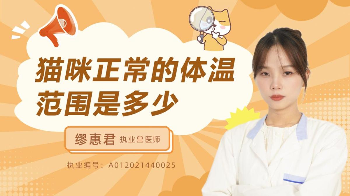猫咪的正常体温范围是多少？