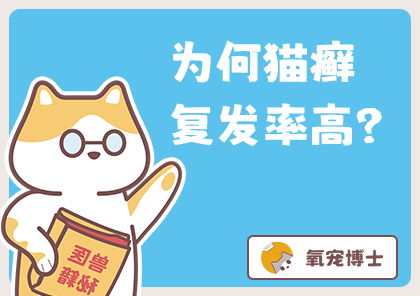 猫癣能根治吗？猫咪猫癣好了后会不会复发？