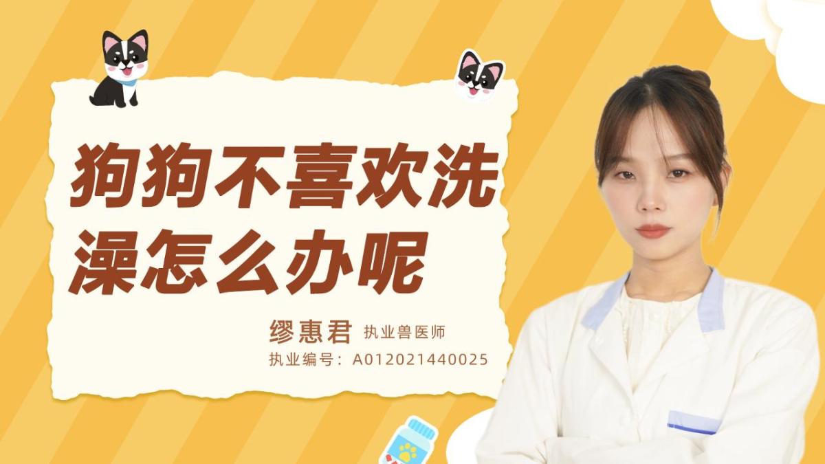 狗狗不喜欢洗澡怎么办呢？