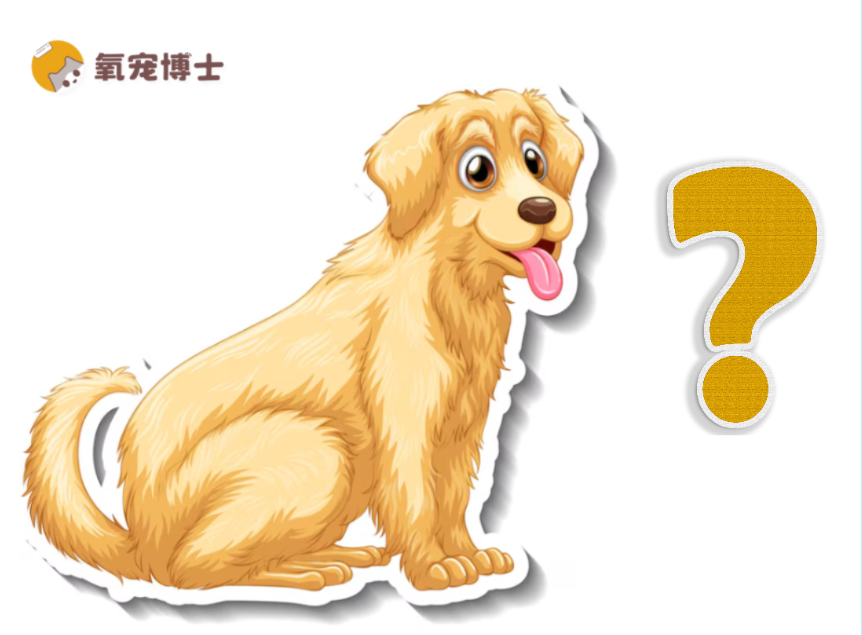 想养金毛？除非你能接受这些&hellip;&hellip;