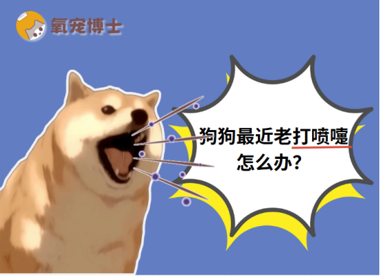 狗狗最近老打喷嚏怎么办？