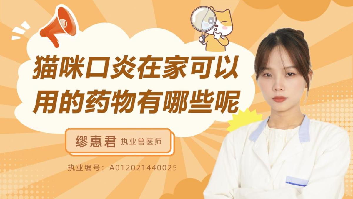猫咪口炎在家可以用的药物有哪些呢？