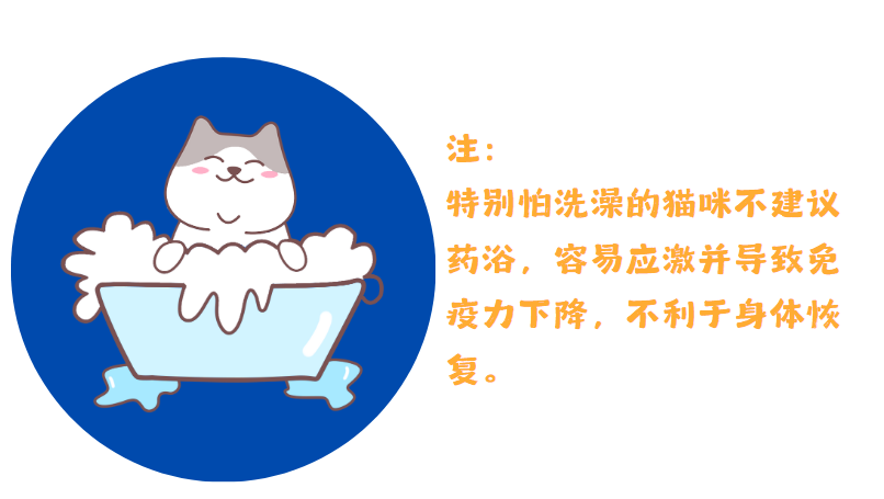 猫癣用什么药浴？