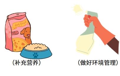 猫疱疹病毒虽不能根除，但也不可怕！