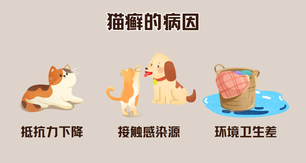 貓癬的病因