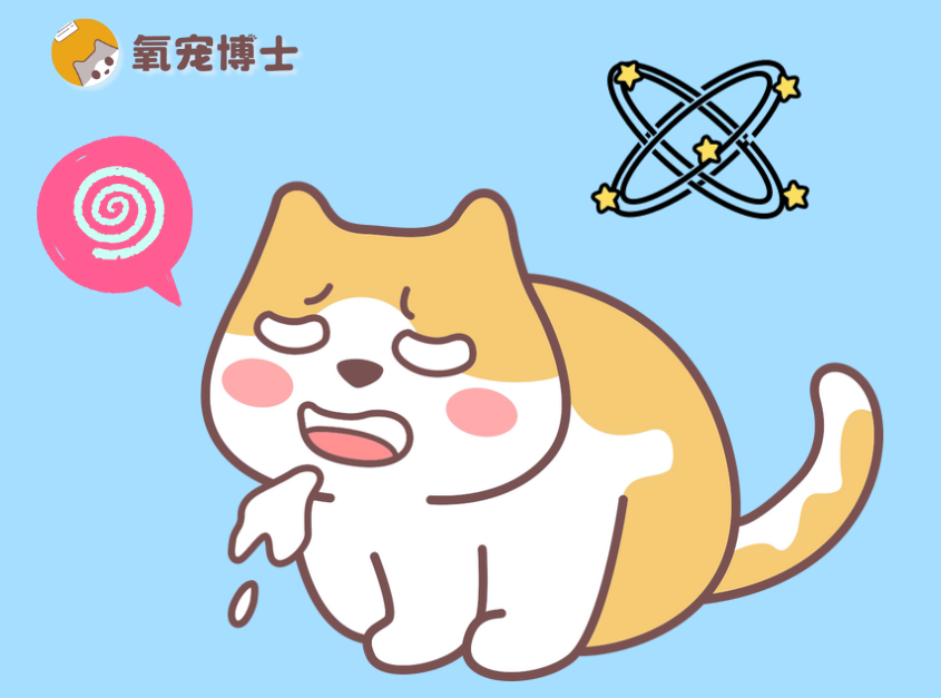 猫咪想吐又吐不出来是怎么回事？