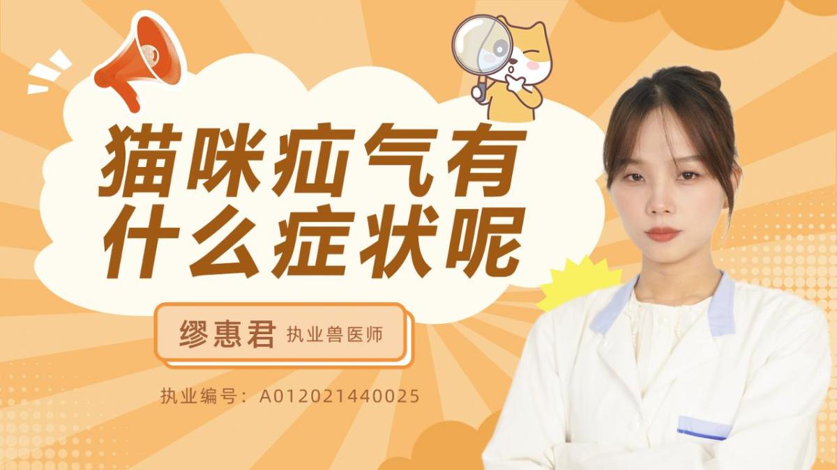 猫咪疝气有什么症状呢？