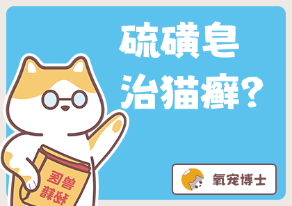 别太荒谬。猫咪真菌感染能用硫磺皂洗？