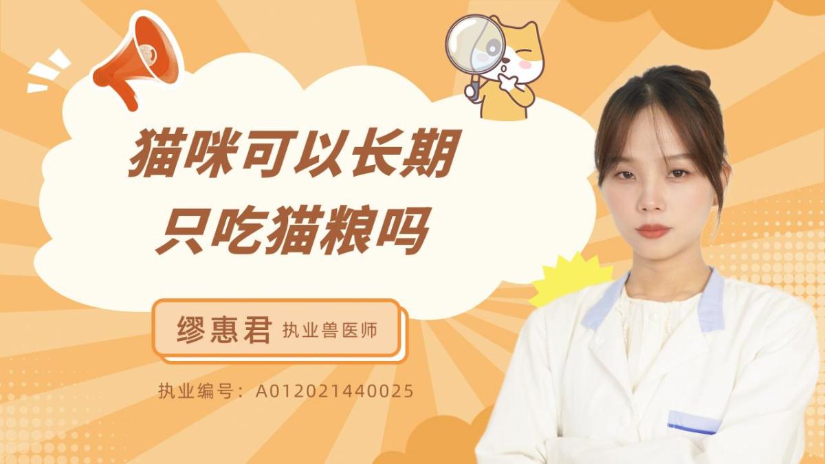 猫咪可以长期只吃猫粮吗？