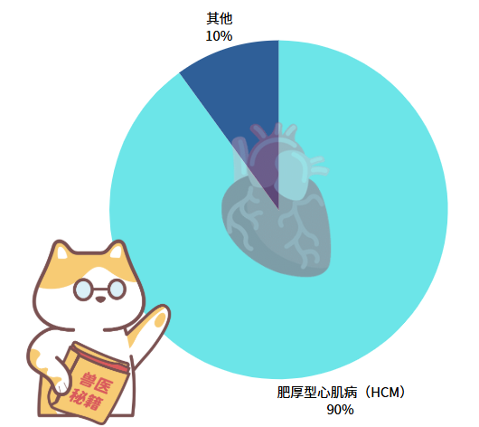 猫咪心脏有问题怎么办？