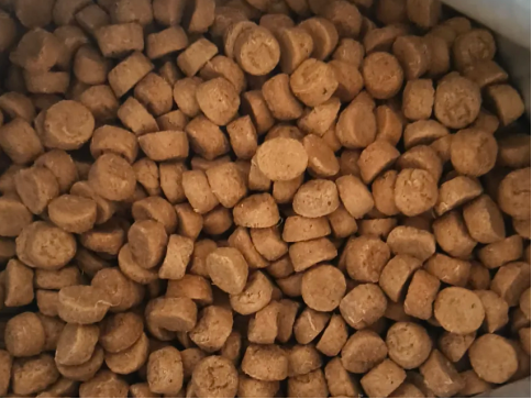 猫小闹烘焙猫粮