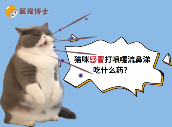 猫咪感冒打喷嚏流鼻涕吃什么药？