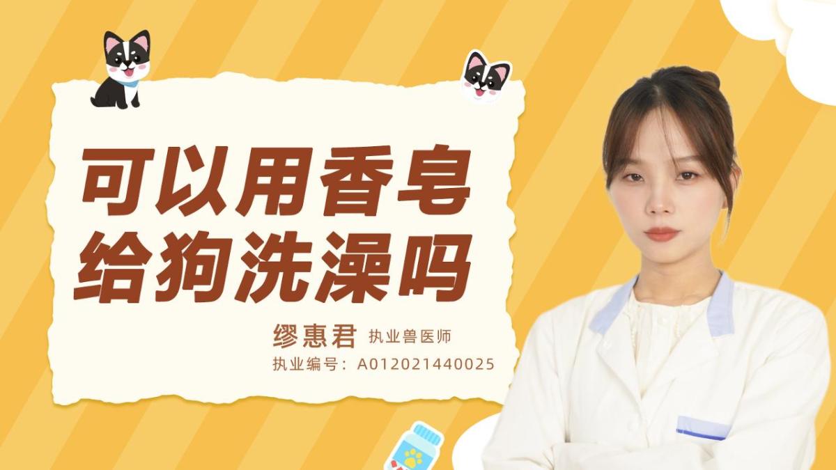 可以用香皂给狗洗澡吗？