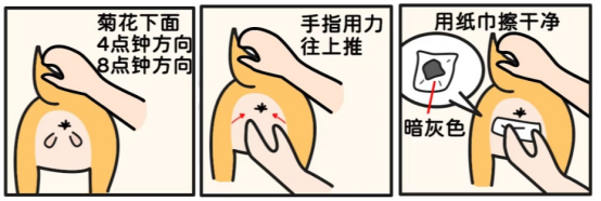 怎么给猫咪挤肛门腺