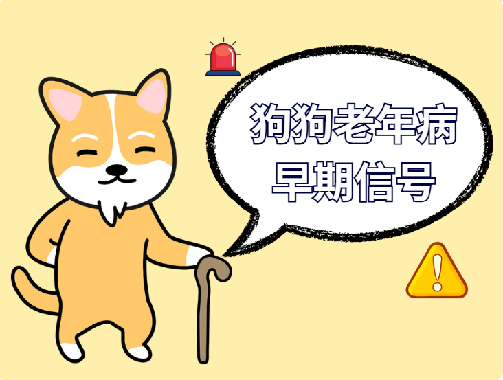 狗狗7歲＝人類50歲！警惕這些老年病的早期信號