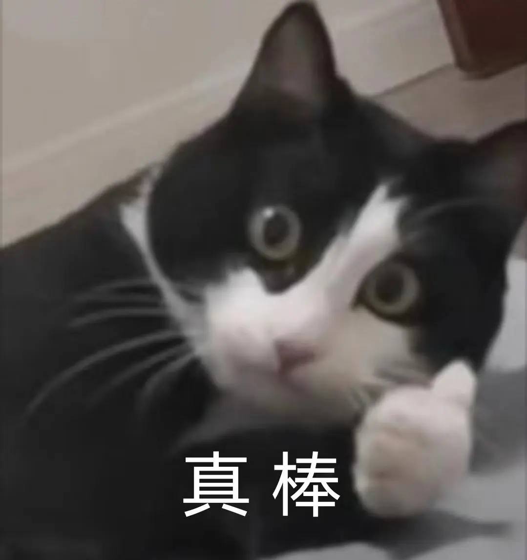 猫咪掉毛严重