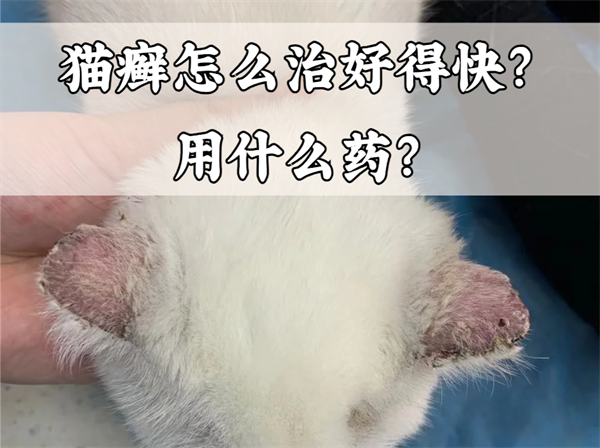 猫癣怎么治好得快用什么药？