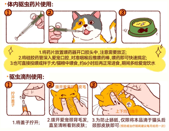 貓咪體內(nèi)驅(qū)蟲的方法