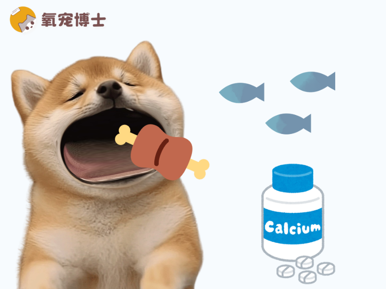 哪些狗狗需要注意补钙？注意别补多了！
