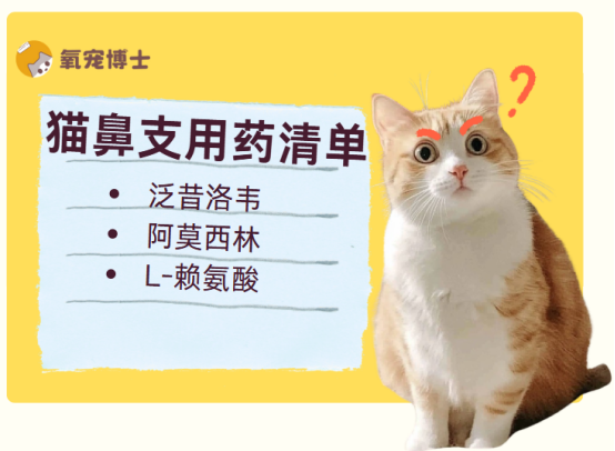 猫咪得了猫鼻支吃什么药好的快