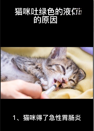 猫咪吐绿色的液体的原因 应该怎么治疗