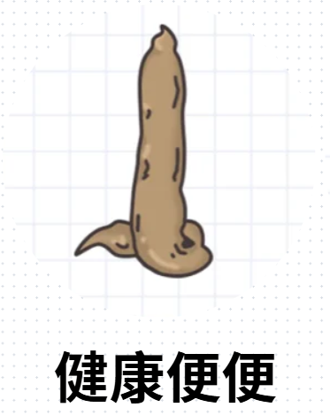 猫咪正常便便长什么样？