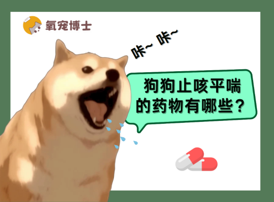 狗狗止咳平喘的药物有哪些？