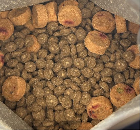 蓝氏真鲜乳鸽狗粮