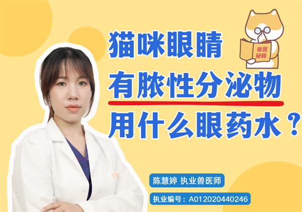 猫咪眼睛有脓性分泌物用什么眼药水？