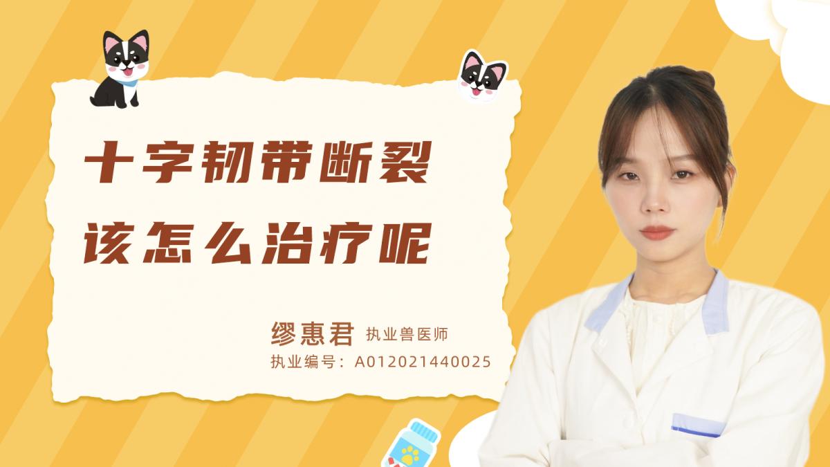 十字韌帶斷裂該怎麼治療呢？