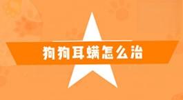 猫咪的耳螨怎么治