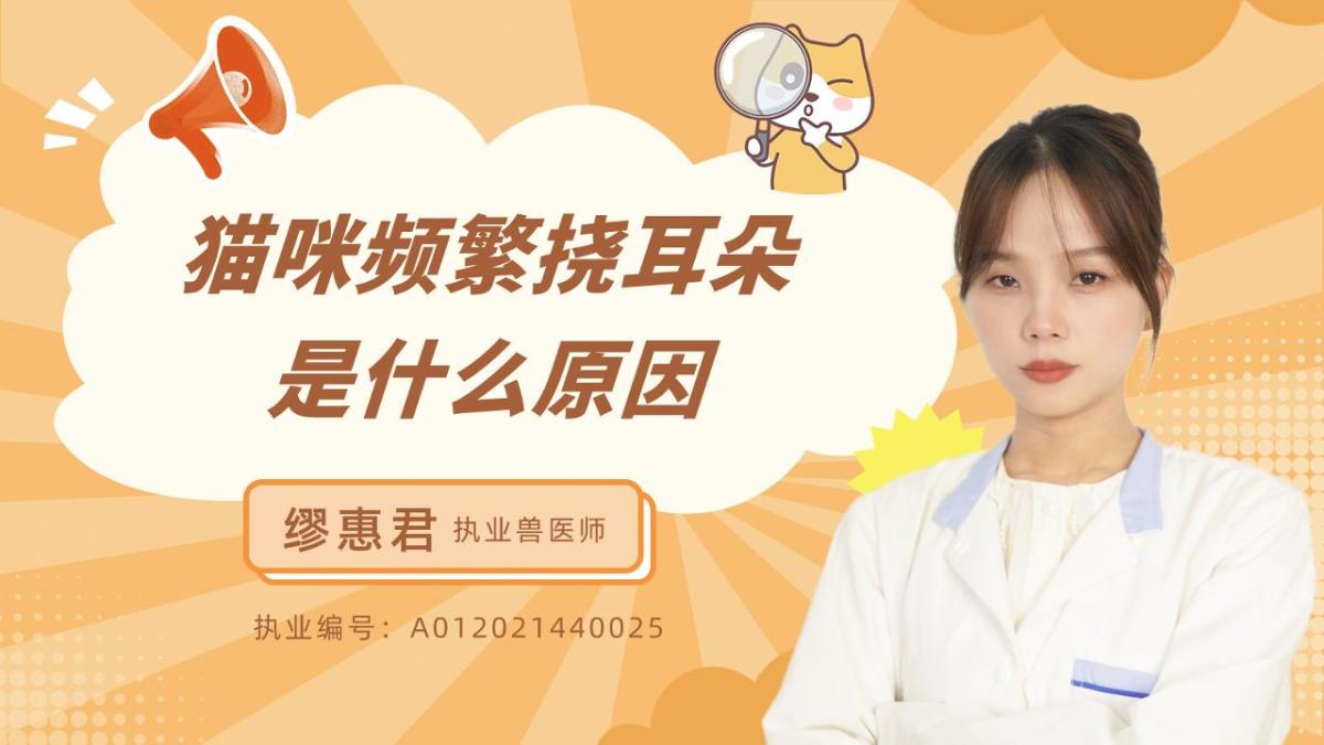 猫咪频繁挠耳朵是什么原因？