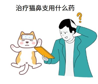 宠物主人必看：猫鼻支用这种人用药真的有效吗？