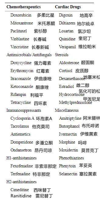 柯利犬禁用藥名單