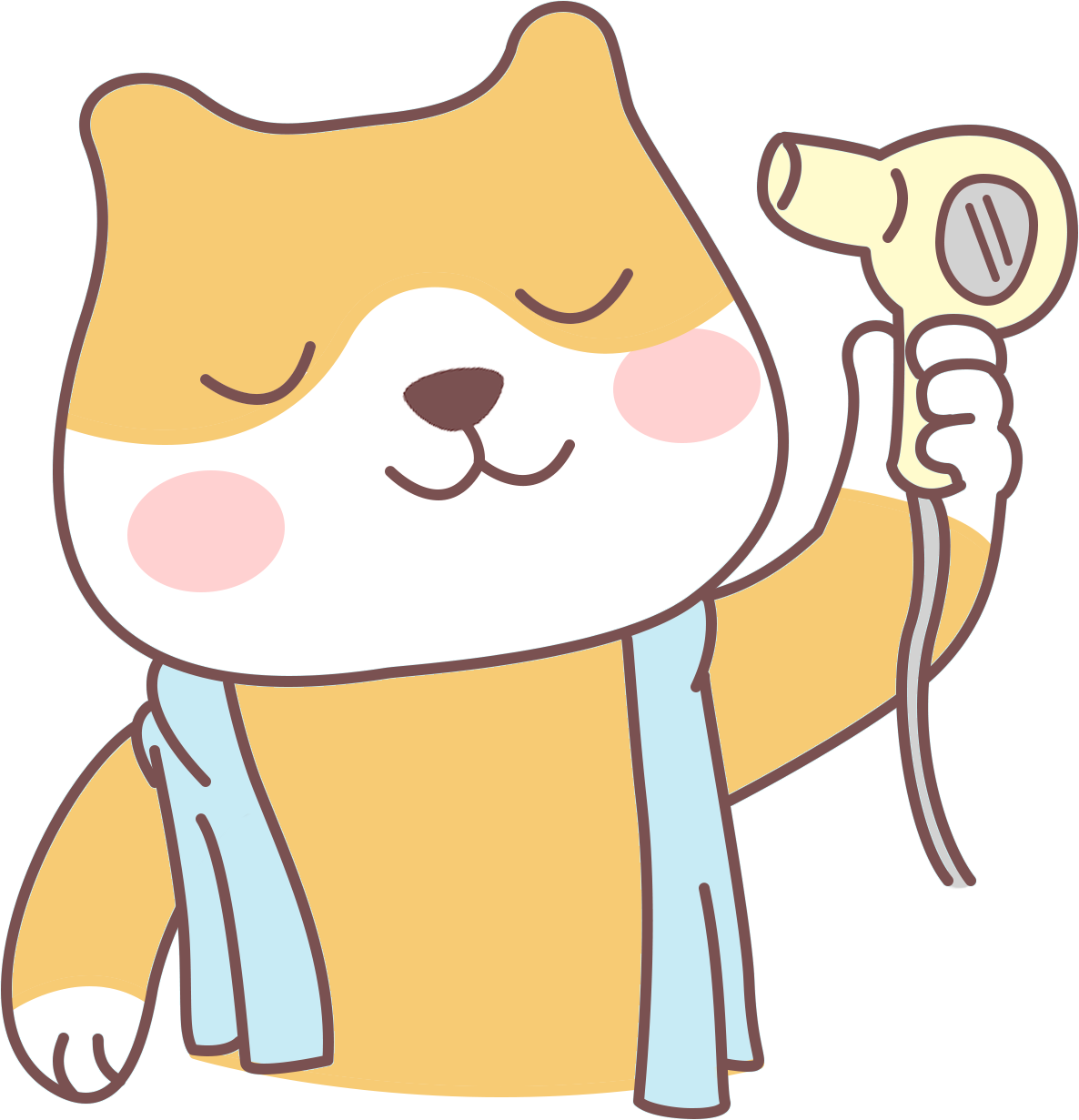 猫咪吹风机脱敏训练