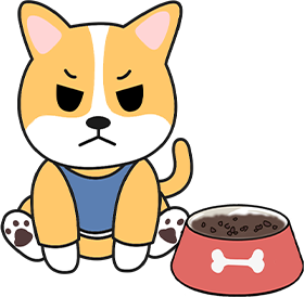 狗认为自己比主人地位高