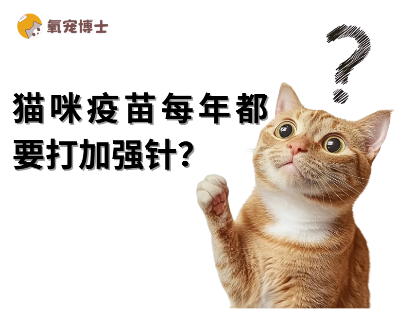猫咪疫苗每年都要打加强针吗？