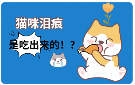 去除猫泪痕最有效的方法