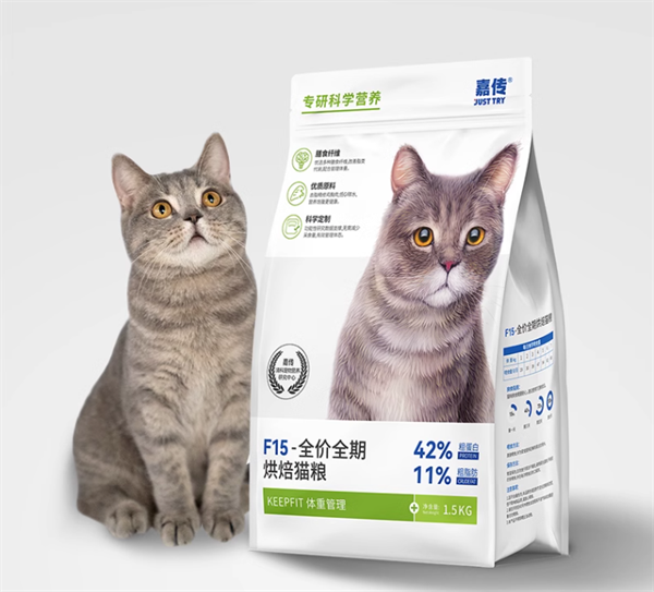 猫咪太胖了怎么减肥？可以试试嘉传F15