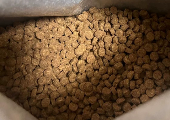 皮蛋烘焙猫粮