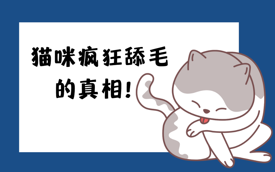 猫咪疯狂舔毛的背后真相：是皮肤病还是心理问题？