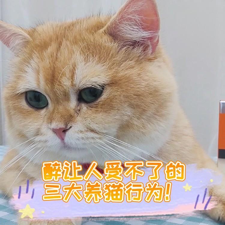 猫咪喝自来水不驱虫？不拉稀是猫命大