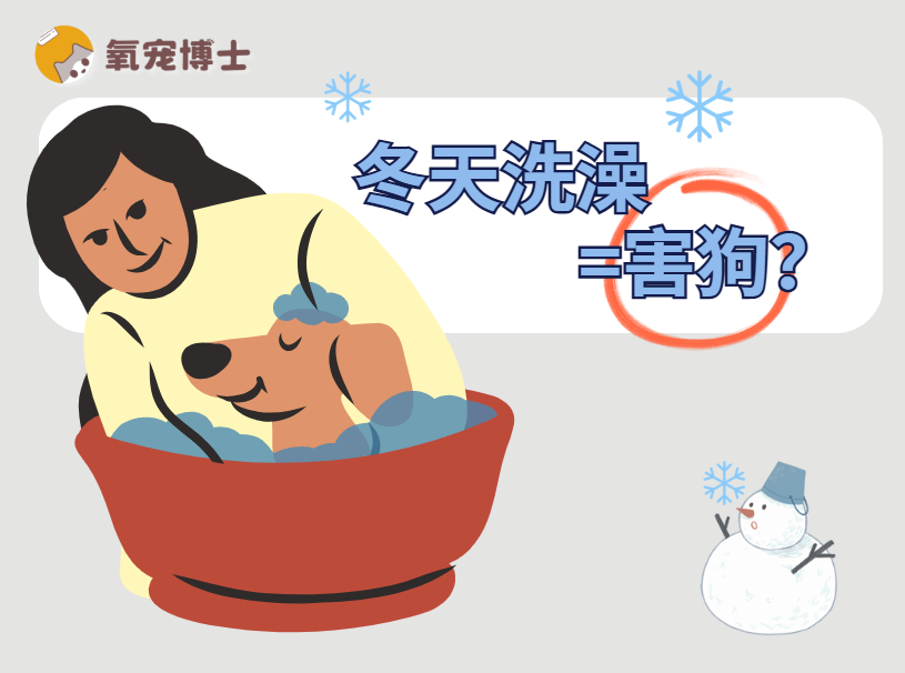 冬天可以给狗狗洗澡吗？做好这3点即可