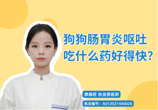 狗狗肠胃炎呕吐吃什么药好得快？